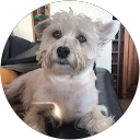 Magdalena Prokopczyc